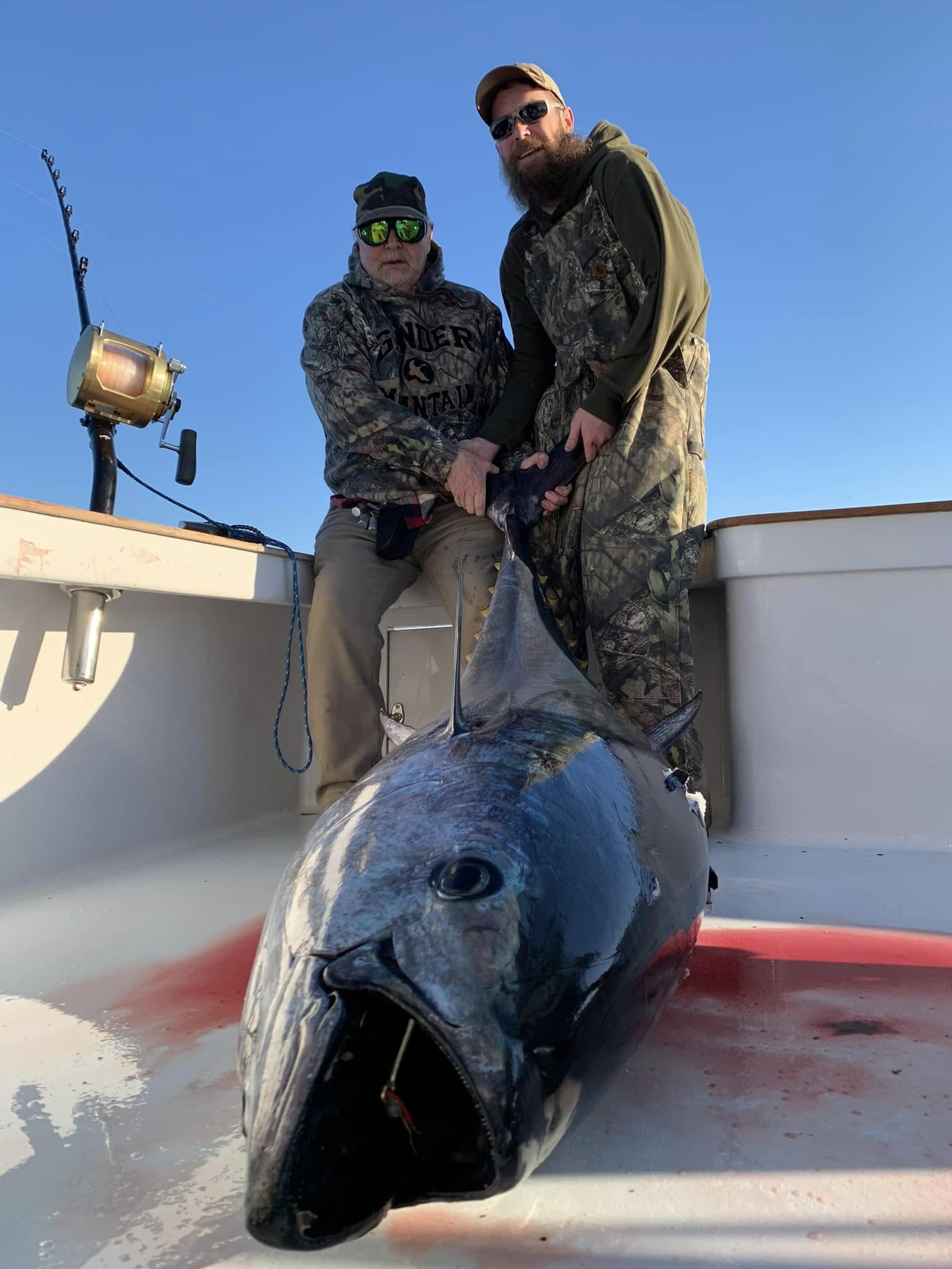 Monster bluefin tuna landed in Manteo NC waters!