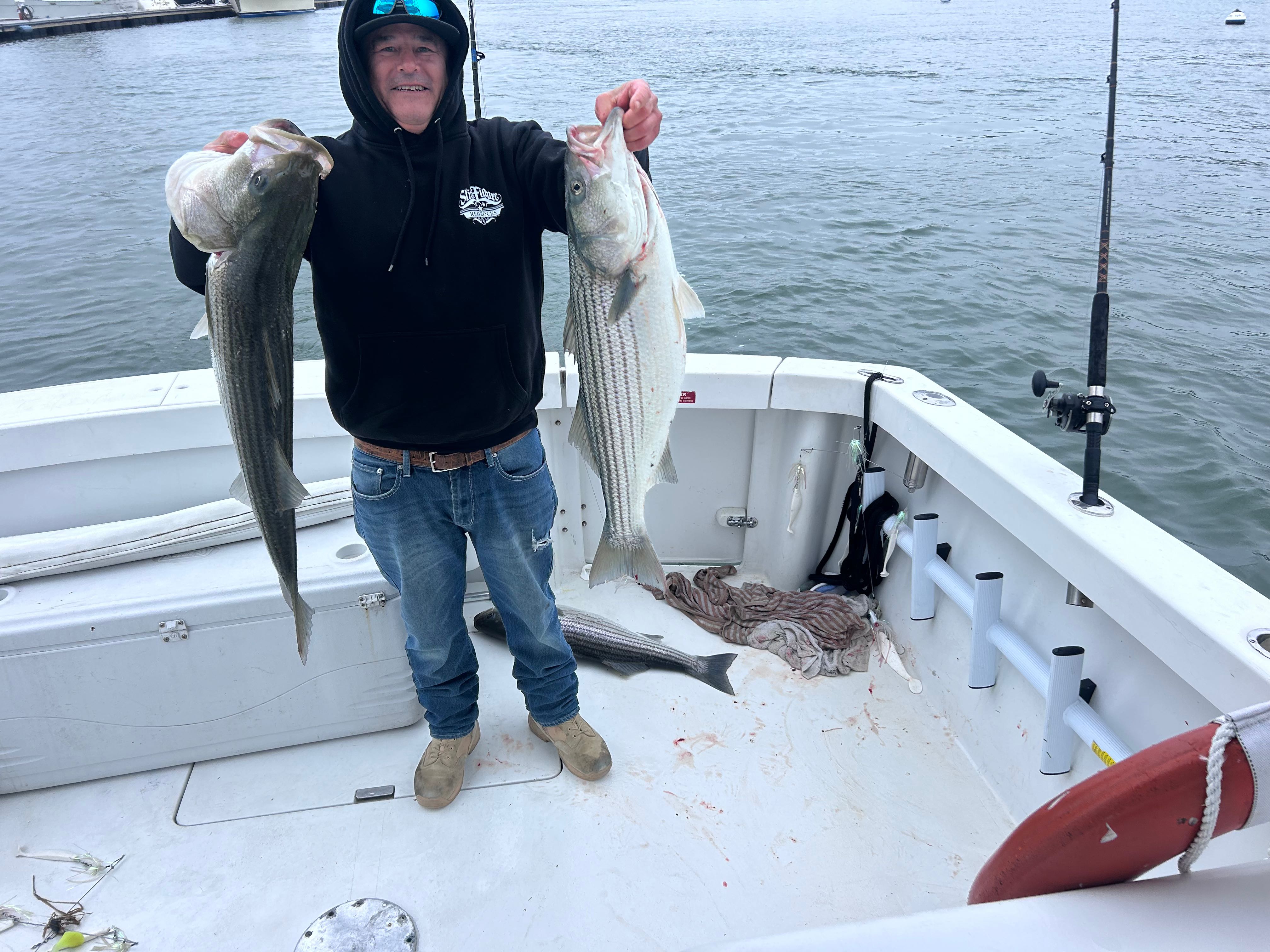 Double striped bass success in Hingham MA waters!