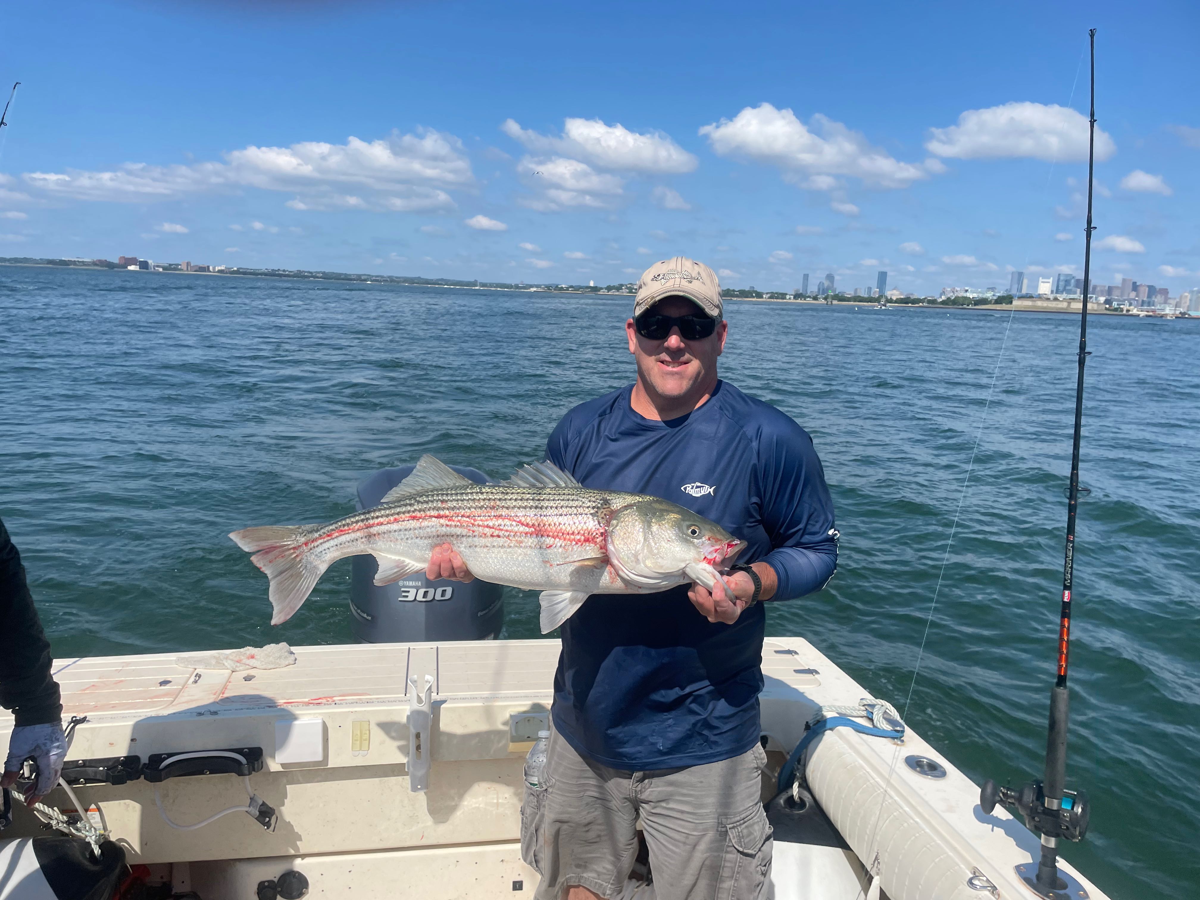 Beautiful Hingham striped bass makes the day complete!