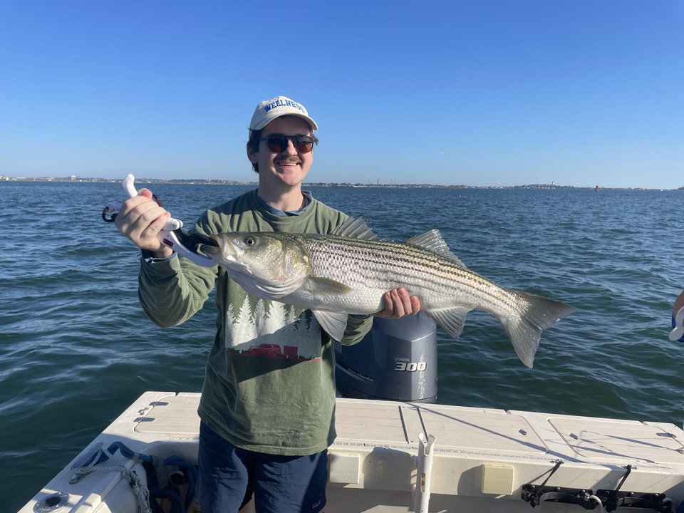 Nice striped bass caught using deep sea jigging and trolling techniques in clear conditions!