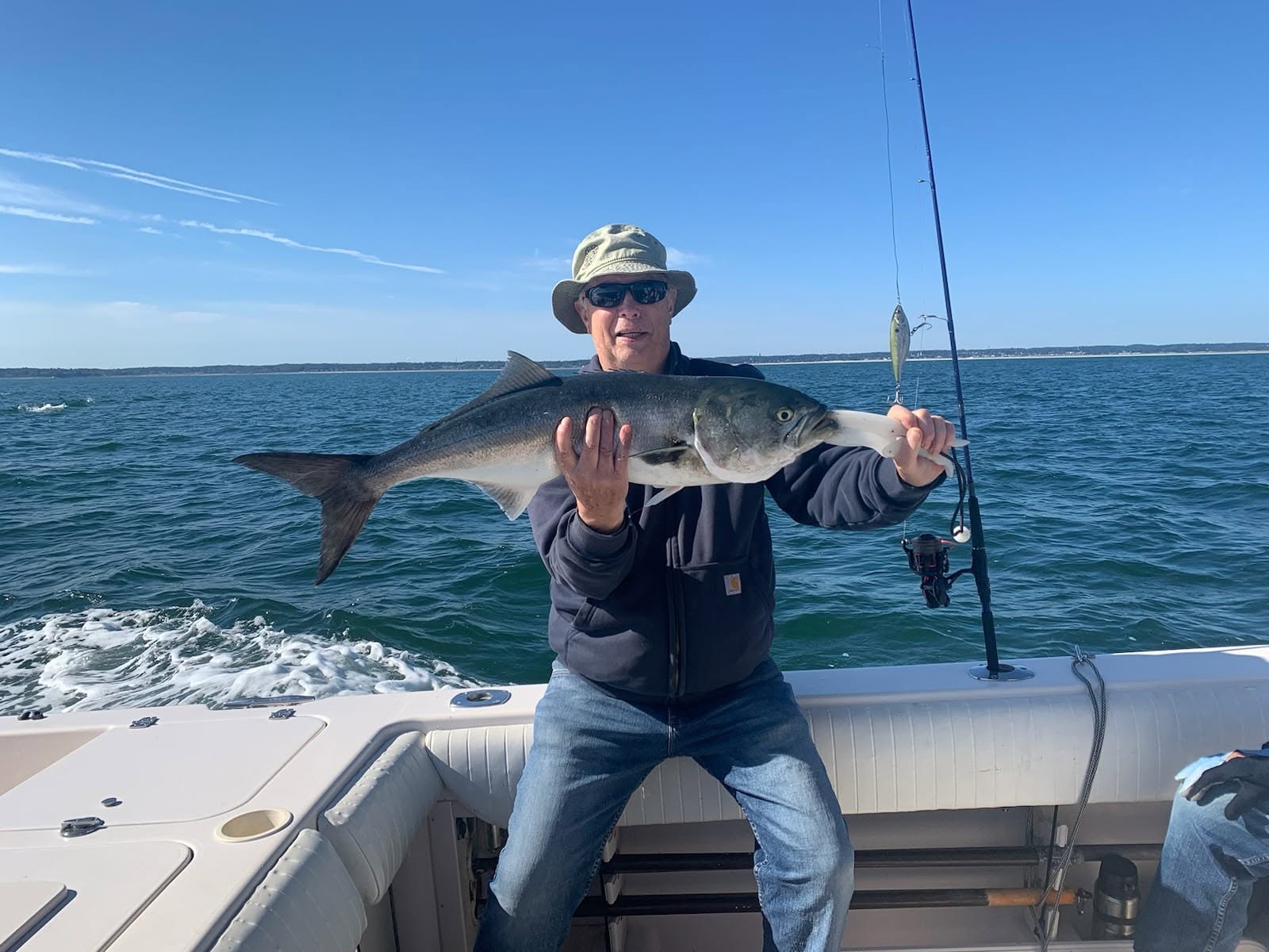 Nice Plymouth bluefish makes for great action!