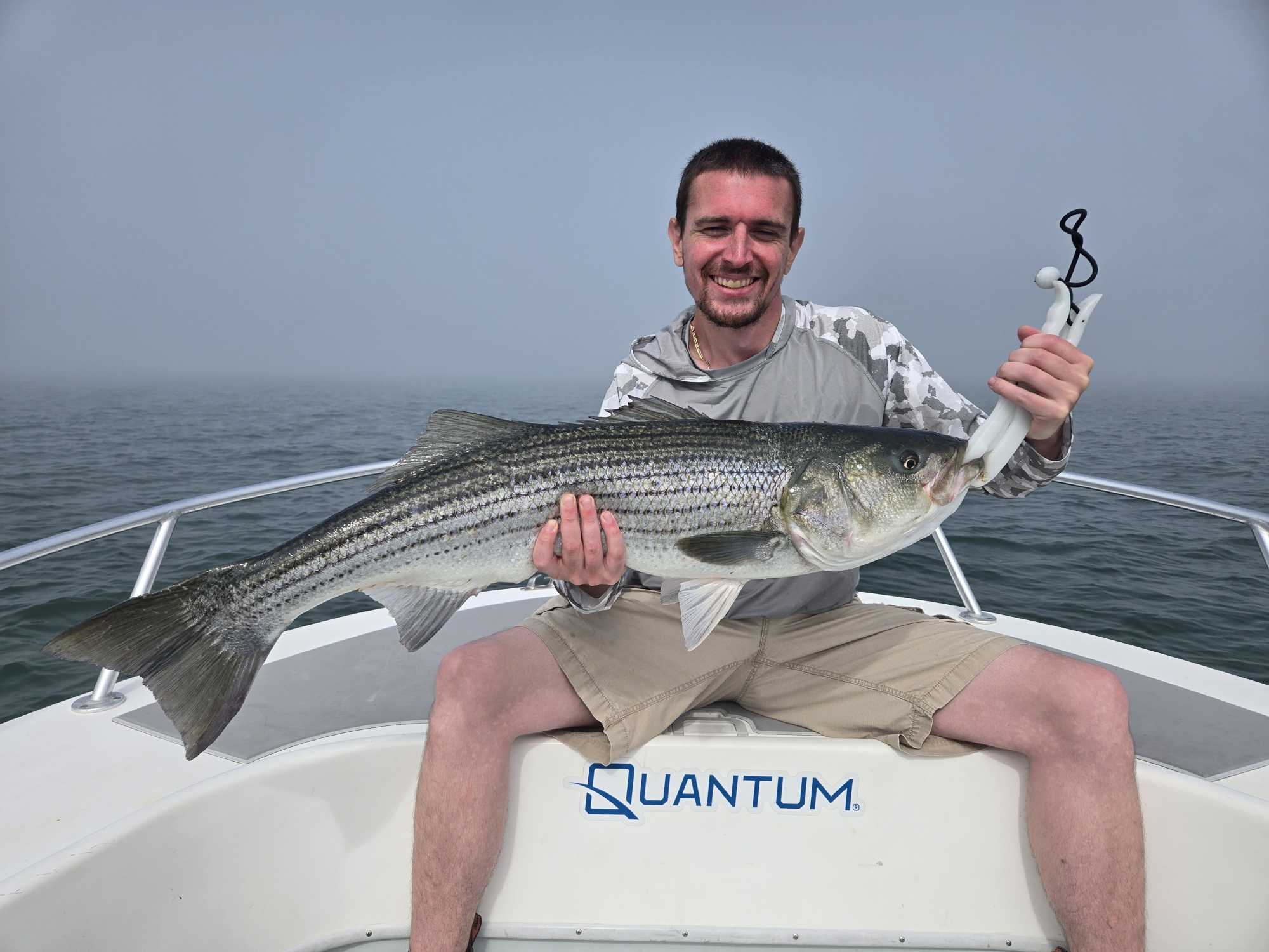 Nice striped bass from Winthrop MA waters!