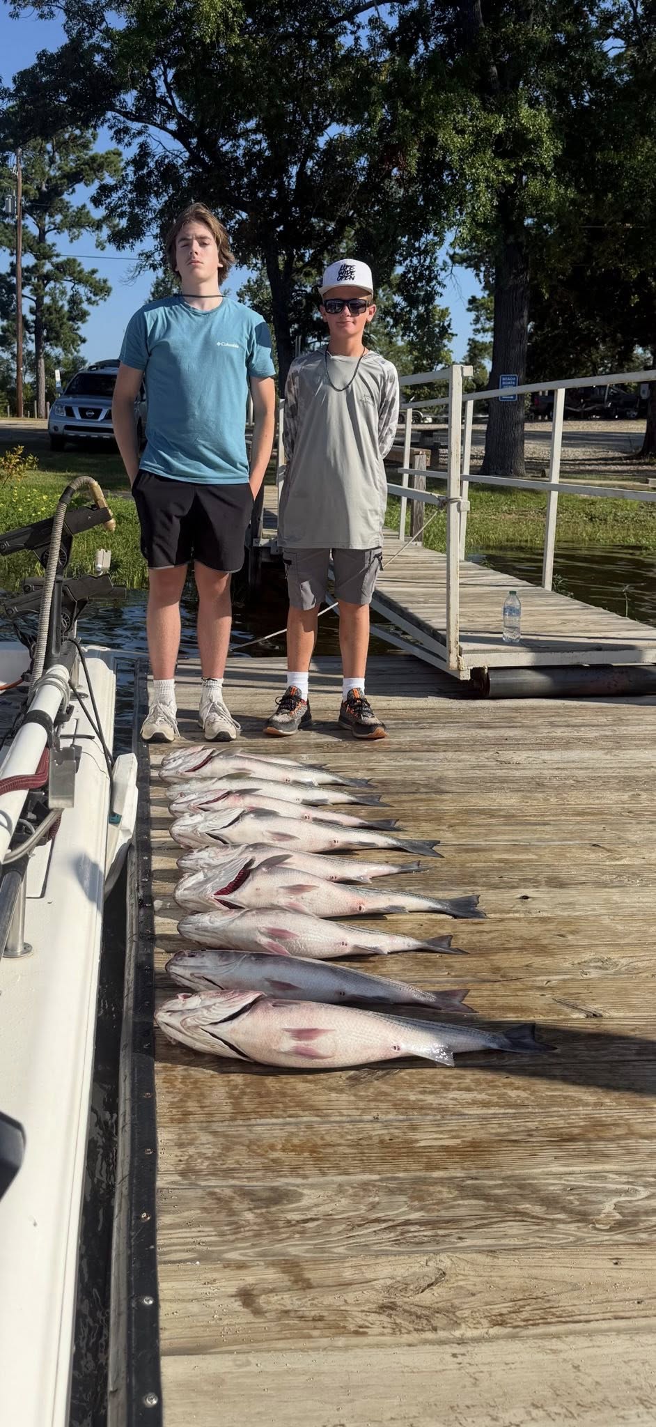 Solid striped bass catch on Lake Murray!