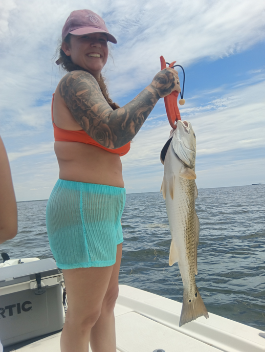 Beautiful Weeki Wachee redfish caught on the water!