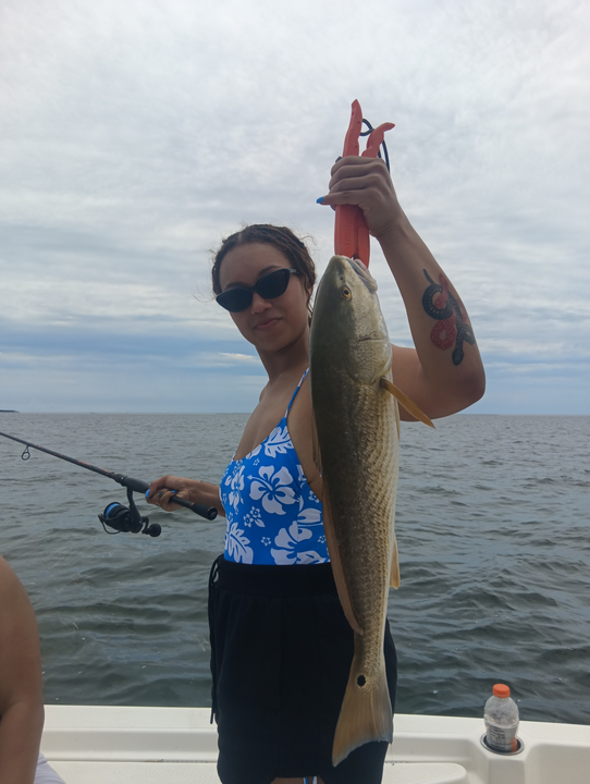 Beautiful Weeki Wachee redfish landed with perfect technique!
