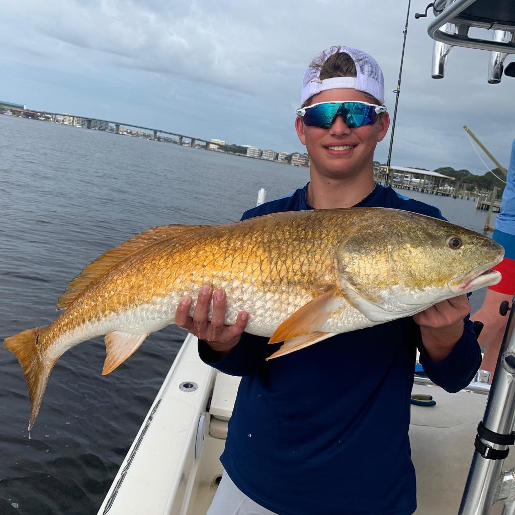 Red drum in Fort Walton Beach