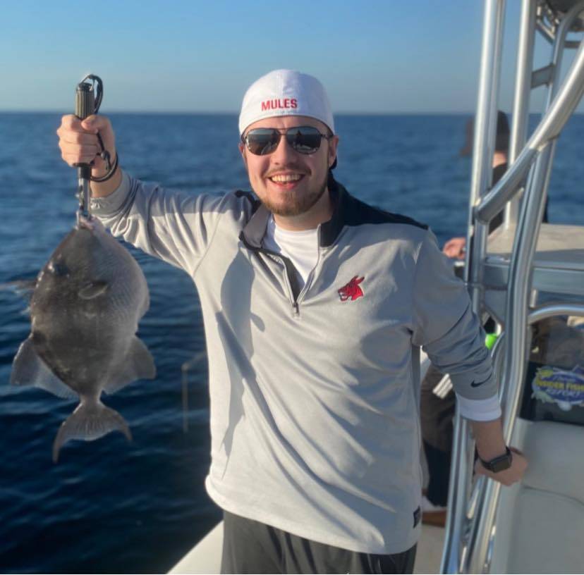 Grey triggerfish in Destin, Florida