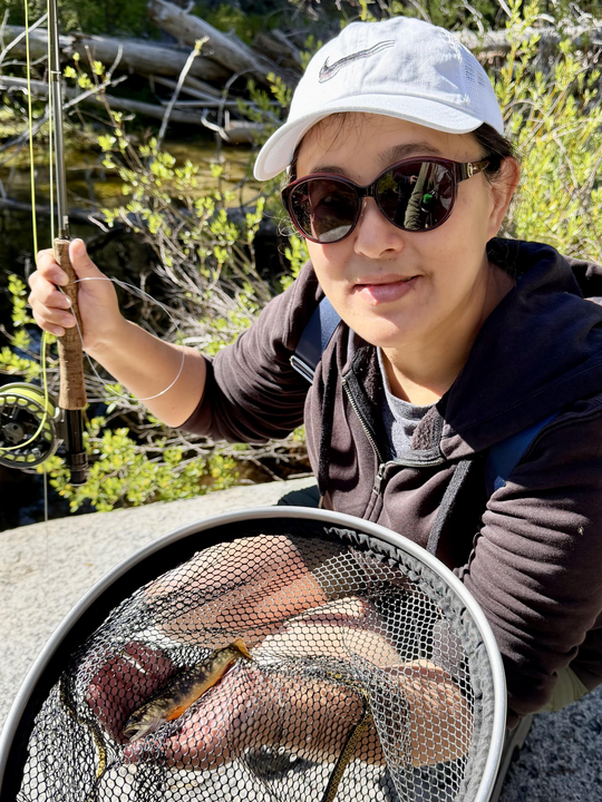 Beautiful Kings River brook trout caught fly fishing!