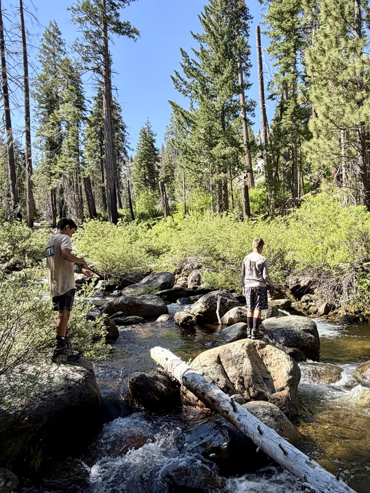 Fly fishing the pristine waters of Kings River.
