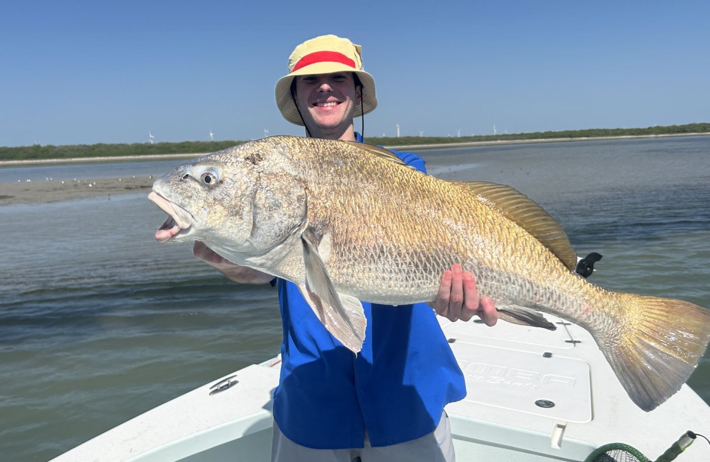 Monsters are here - Corpus Christi, TX.