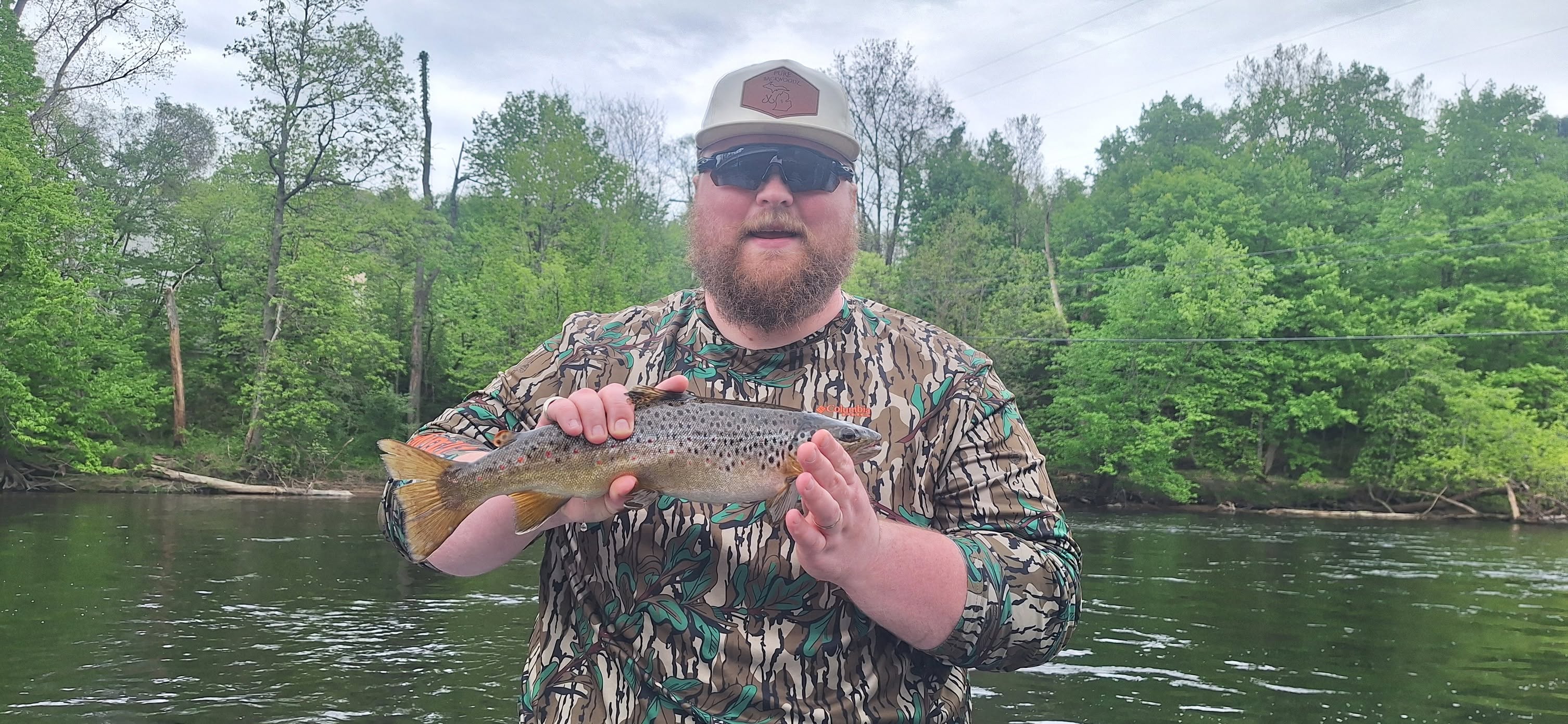 Healthy Brown Trout Catch