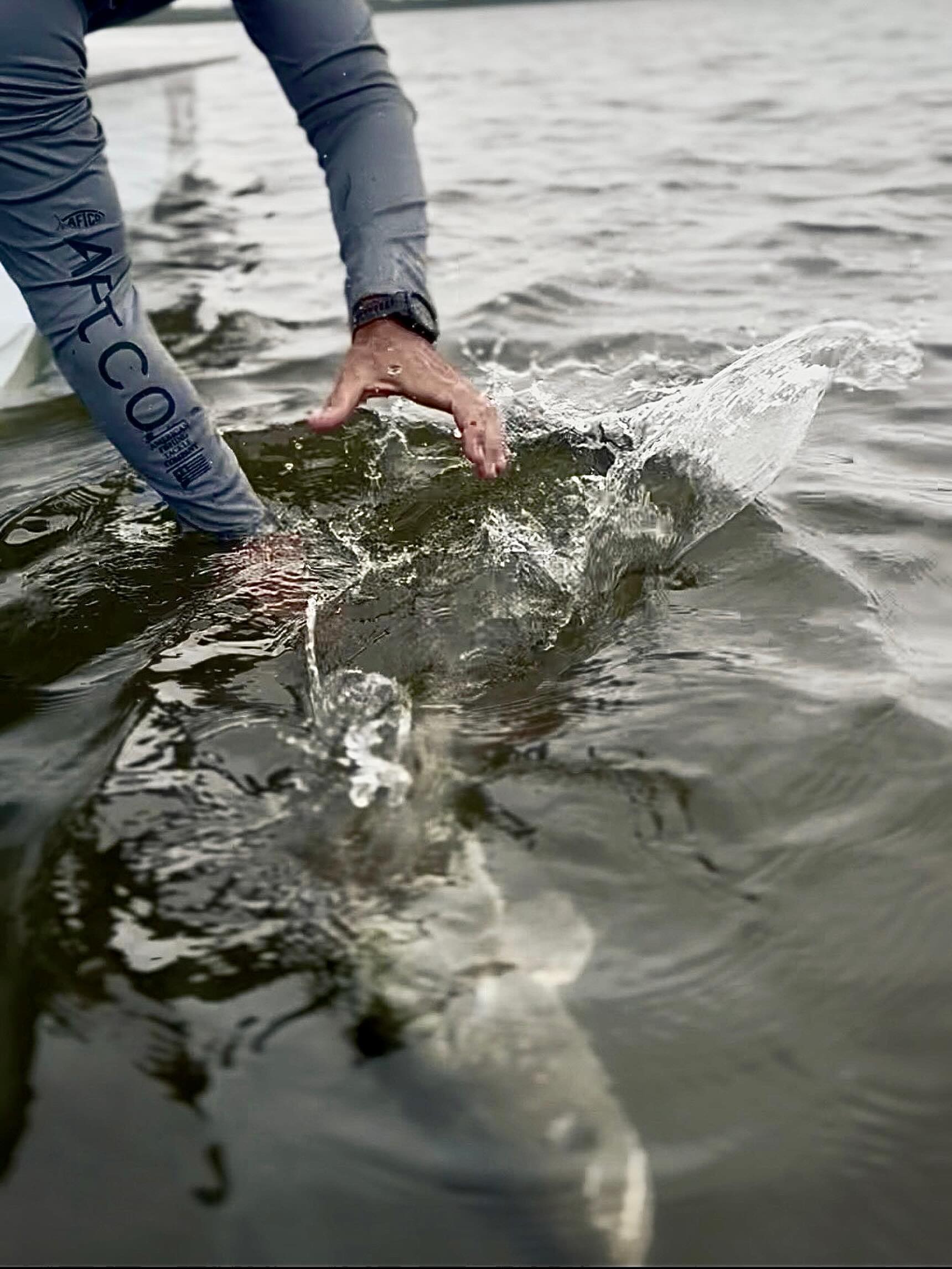 Another successful catch and release in Jensen Beach!