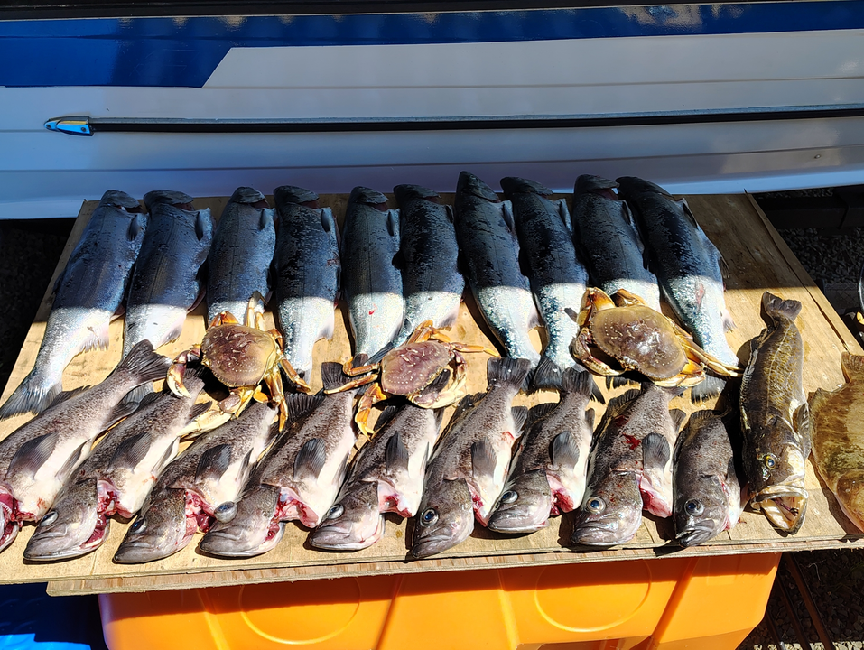 Oregon Coast black rockfish and lingcod trolling success!