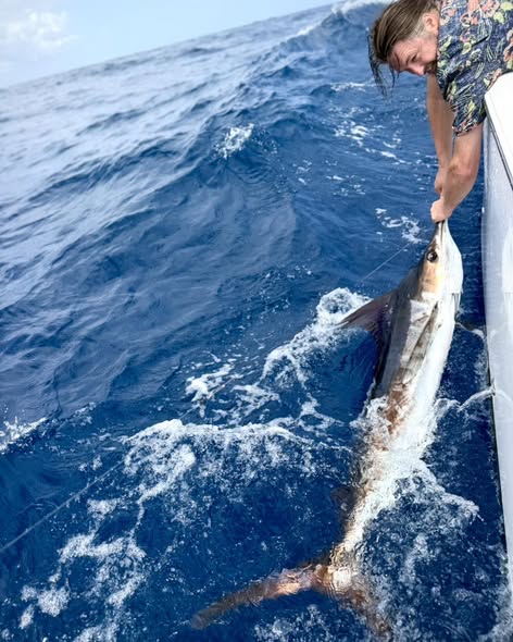 Looking for the ultimate Caribbean adventure? Big game fishing in San Juan delivers excitement from the first cast to the final fight.