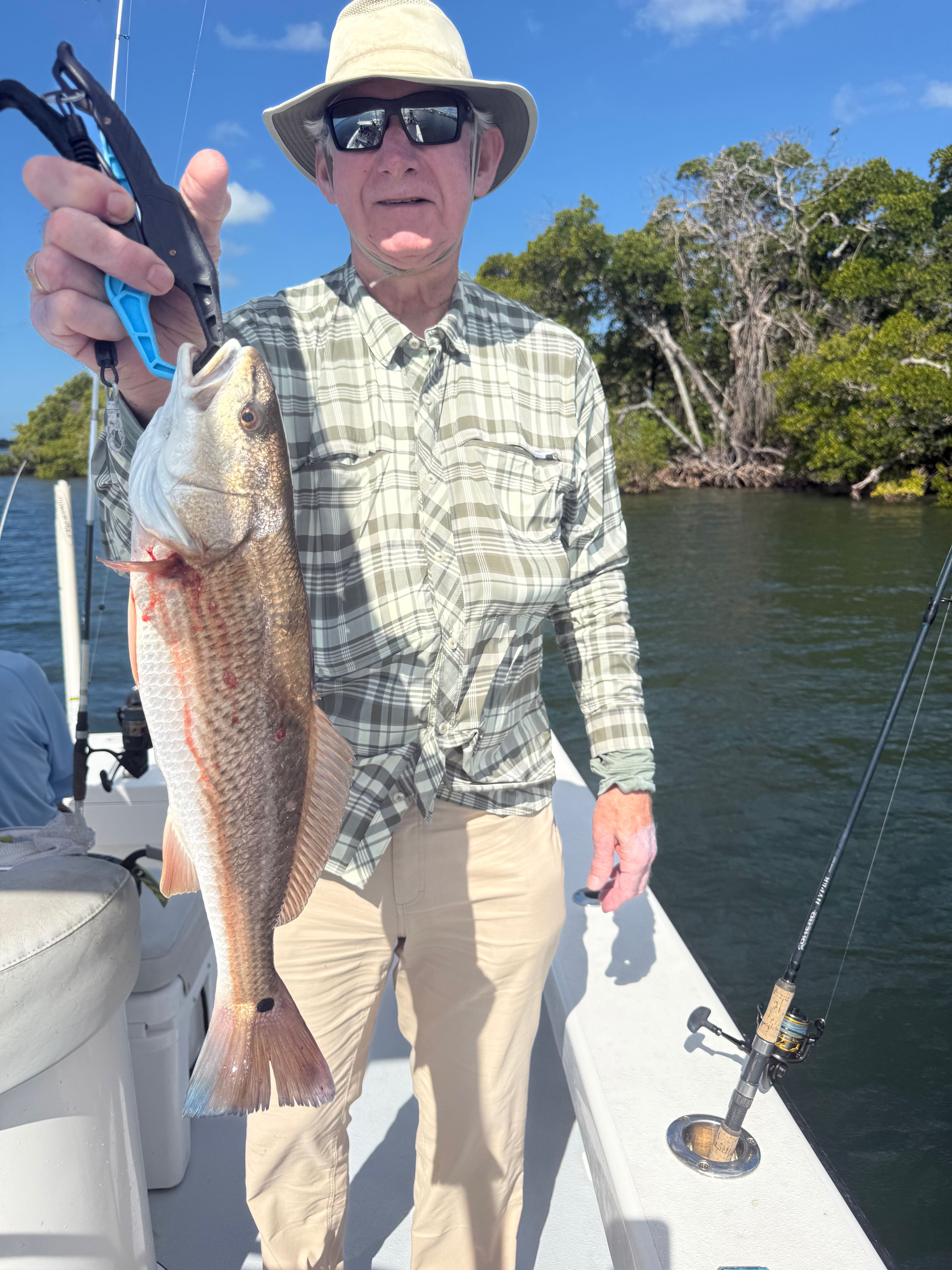 Beautiful Cortez FL redfish ready for the cooler!