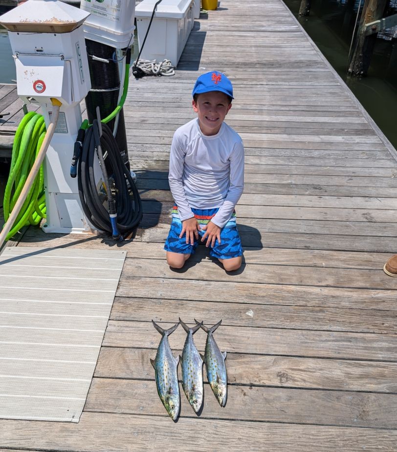 Proud moment with a clean Spanish mackerel trio.