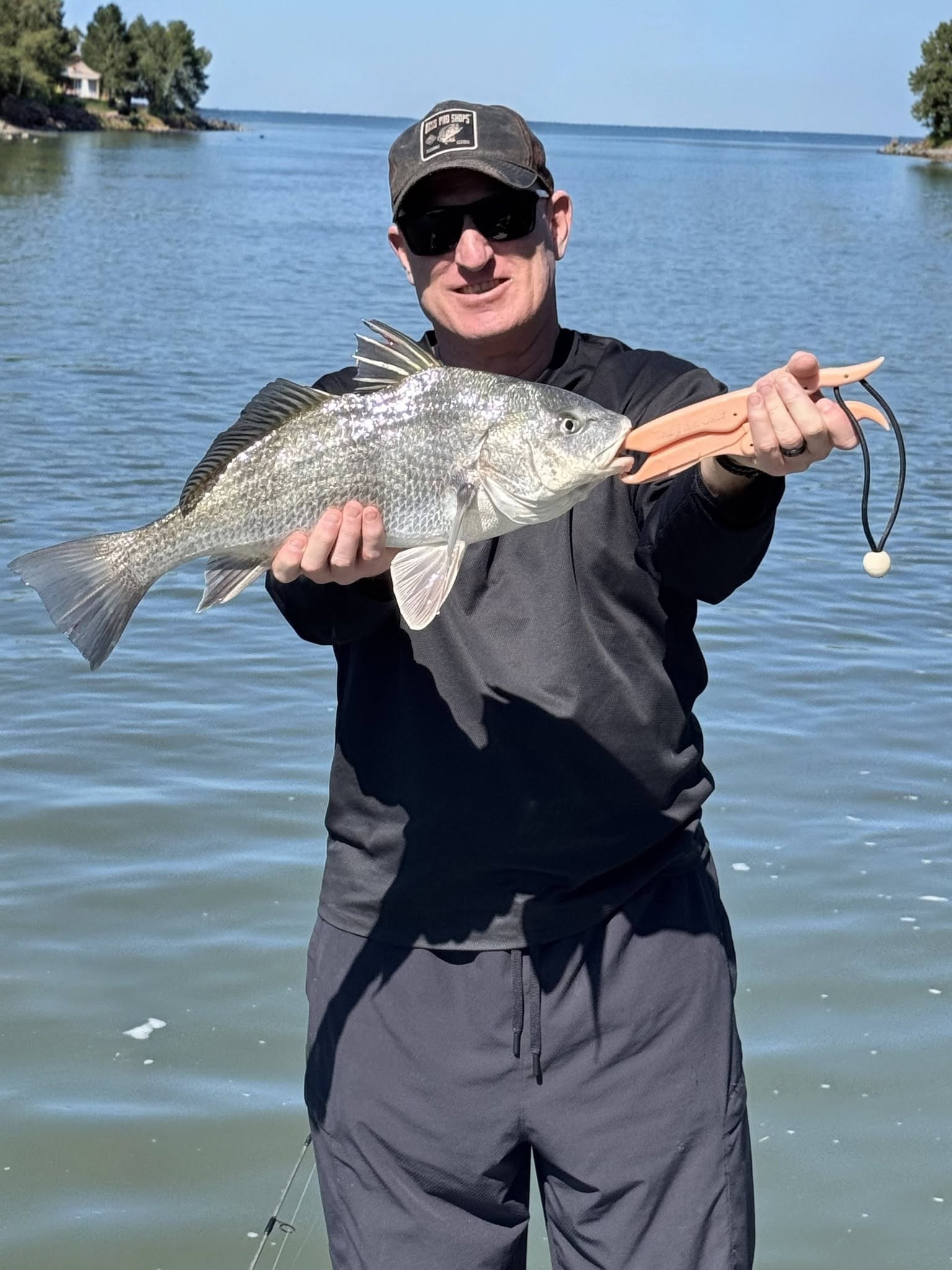 Beautiful black drum caught in Bonita Springs waters!