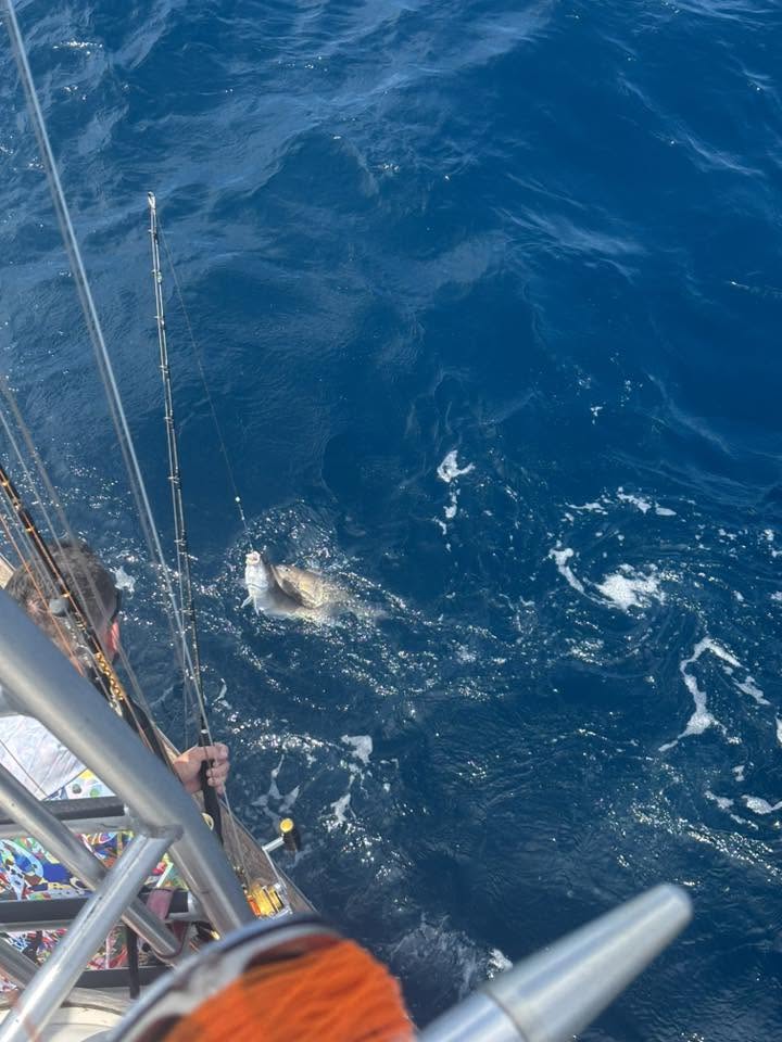 Epic offshore fishing charter fight