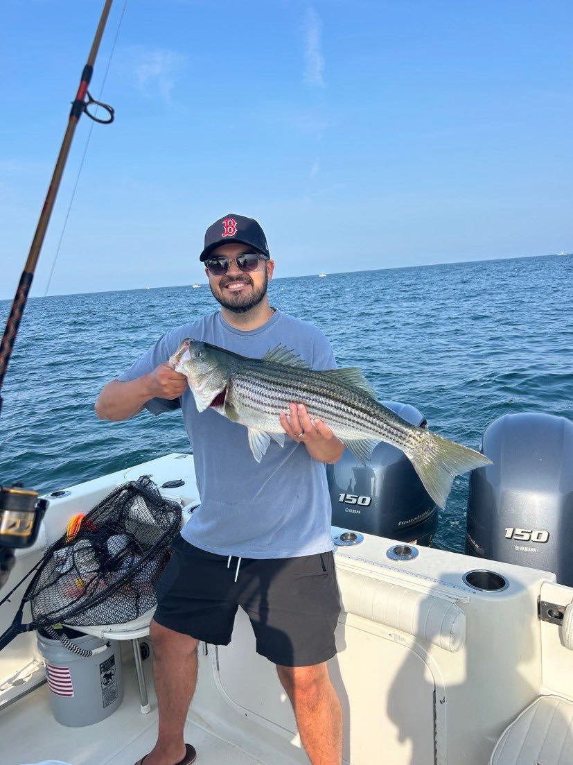 Beautiful East Dennis striped bass on the boat!
