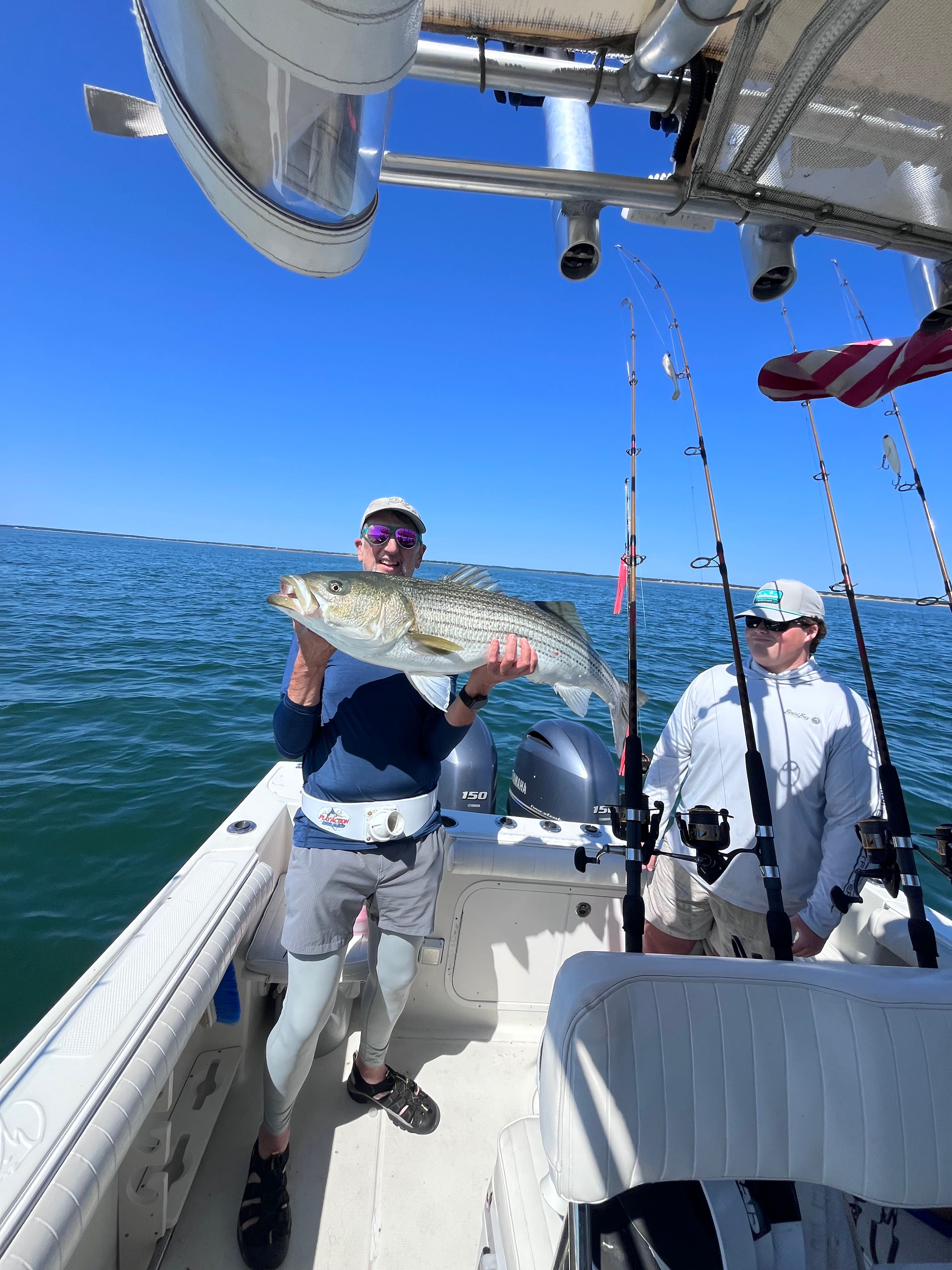 Beautiful East Dennis striped bass makes the day!