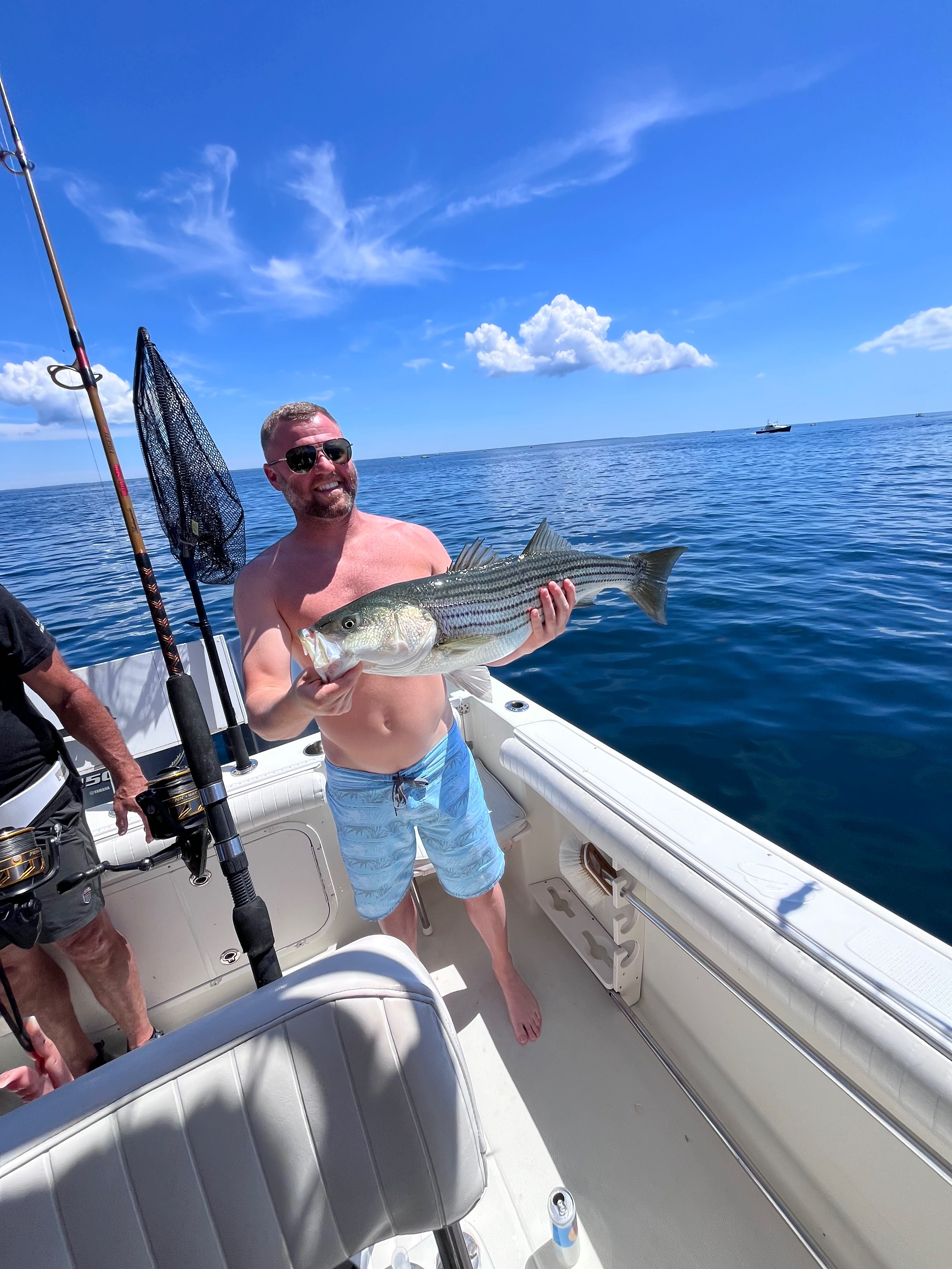 Beautiful striped bass from East Dennis MA waters!