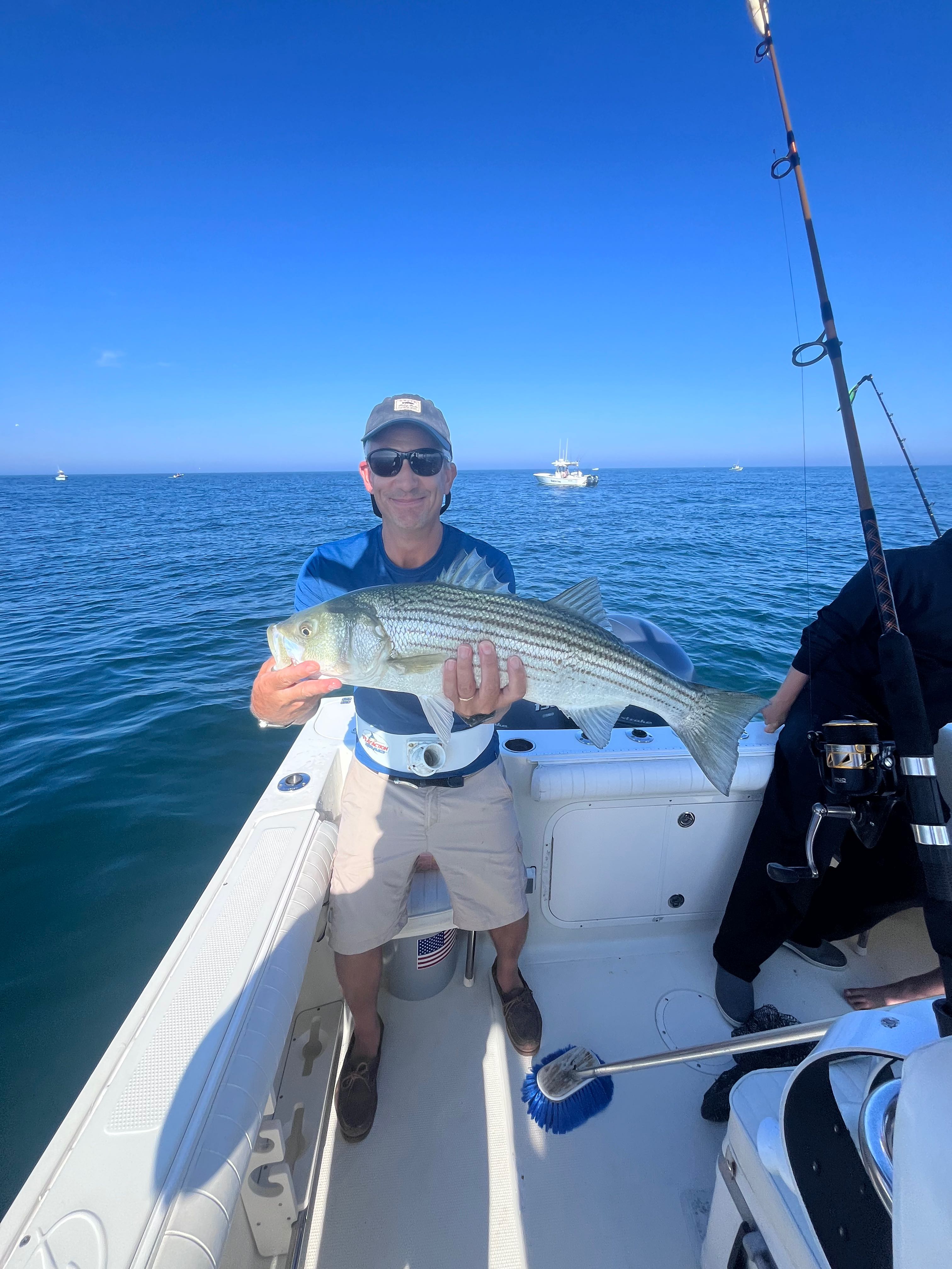 Beautiful East Dennis striped bass on the deck!