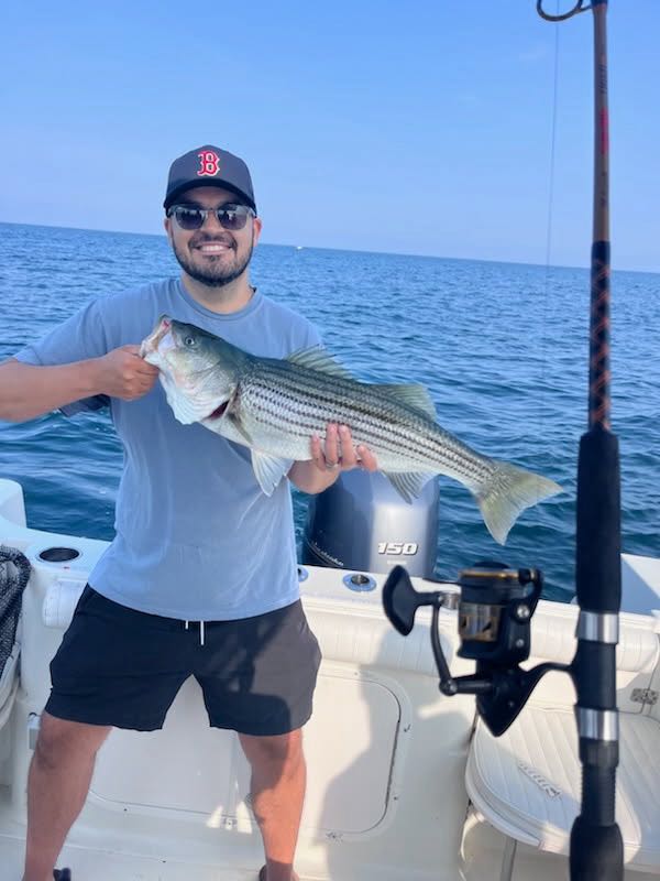 Beautiful striped bass from East Dennis waters!