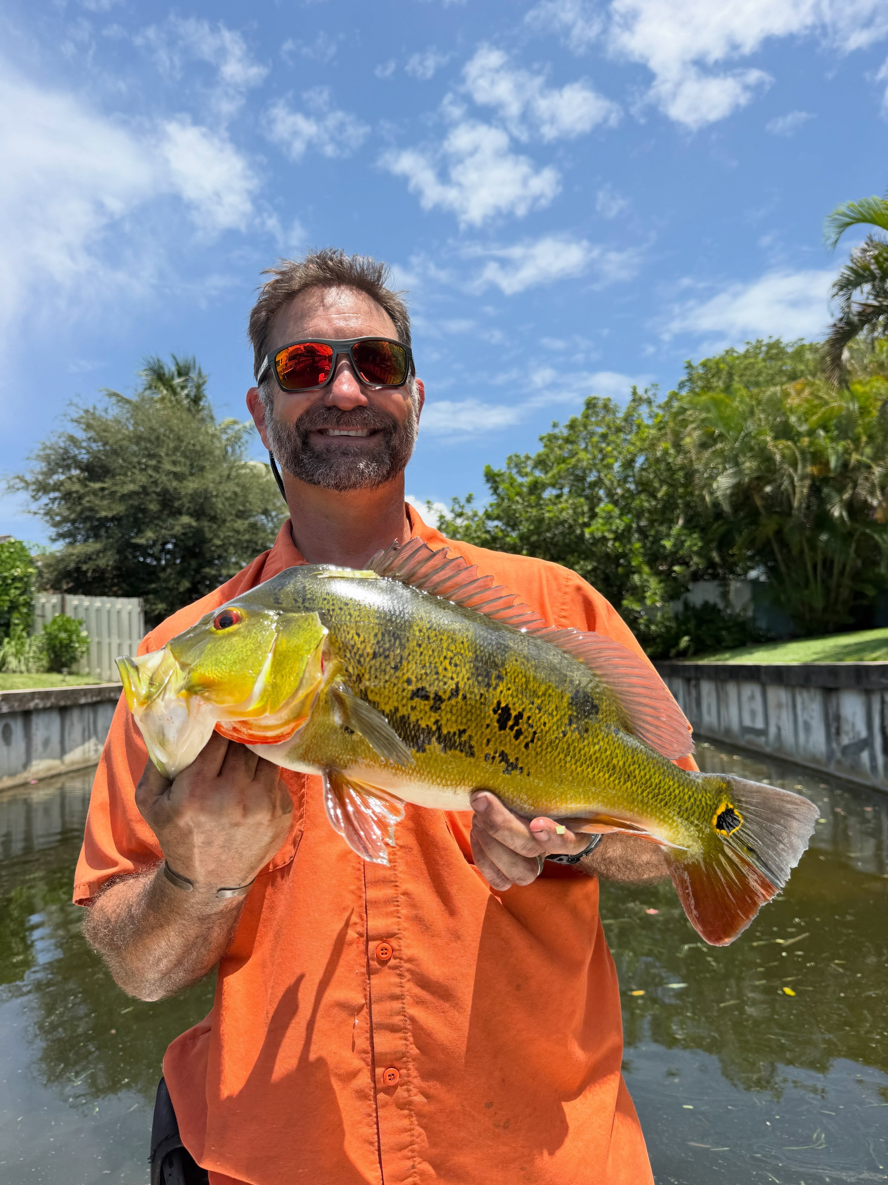 Beautiful peacock bass from Delray Beach canals!