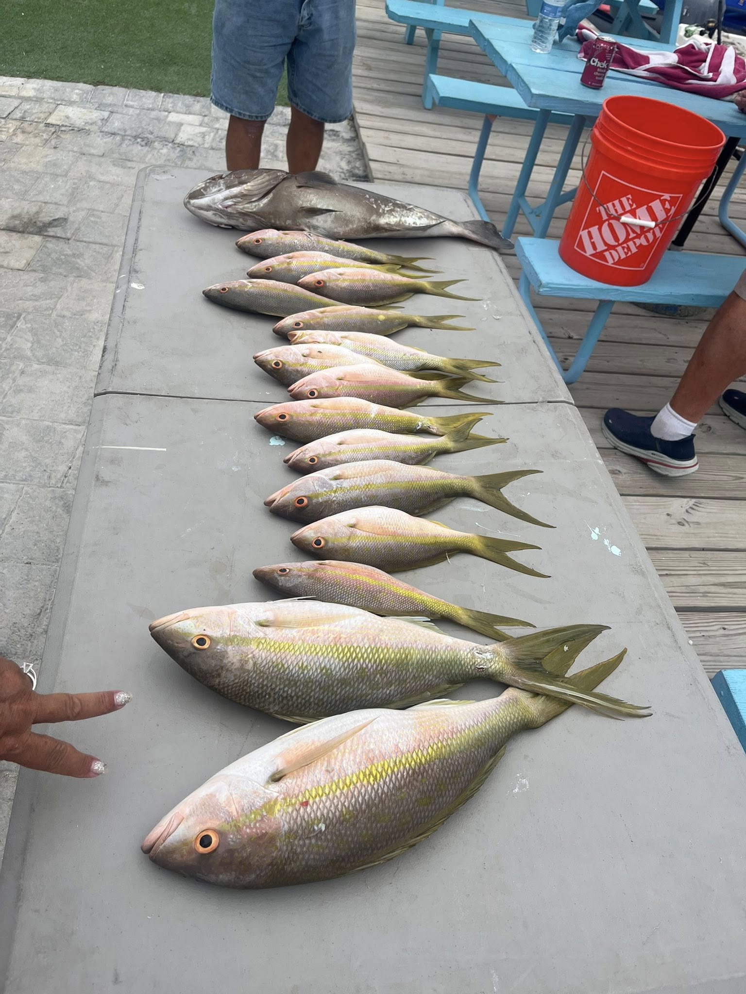 Big catch day in Marathon, FL waters