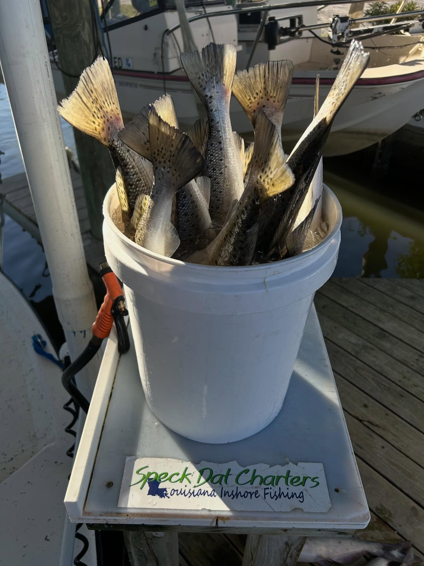 Chase trophy catches and enjoy the beauty of the Louisiana coast with an unforgettable inshore fishing trip in Slidell, LA.