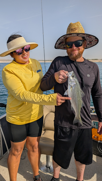 Beautiful Lake Pleasant striped bass on the boat!