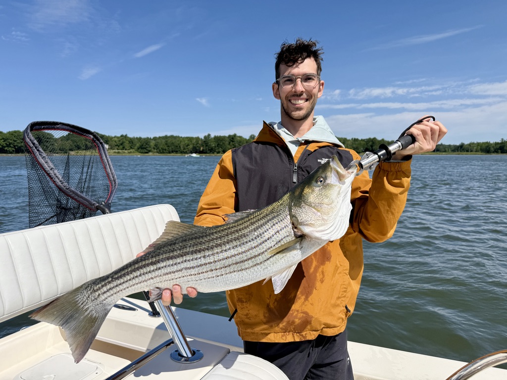 Nice striped bass from Portsmouth NH waters!