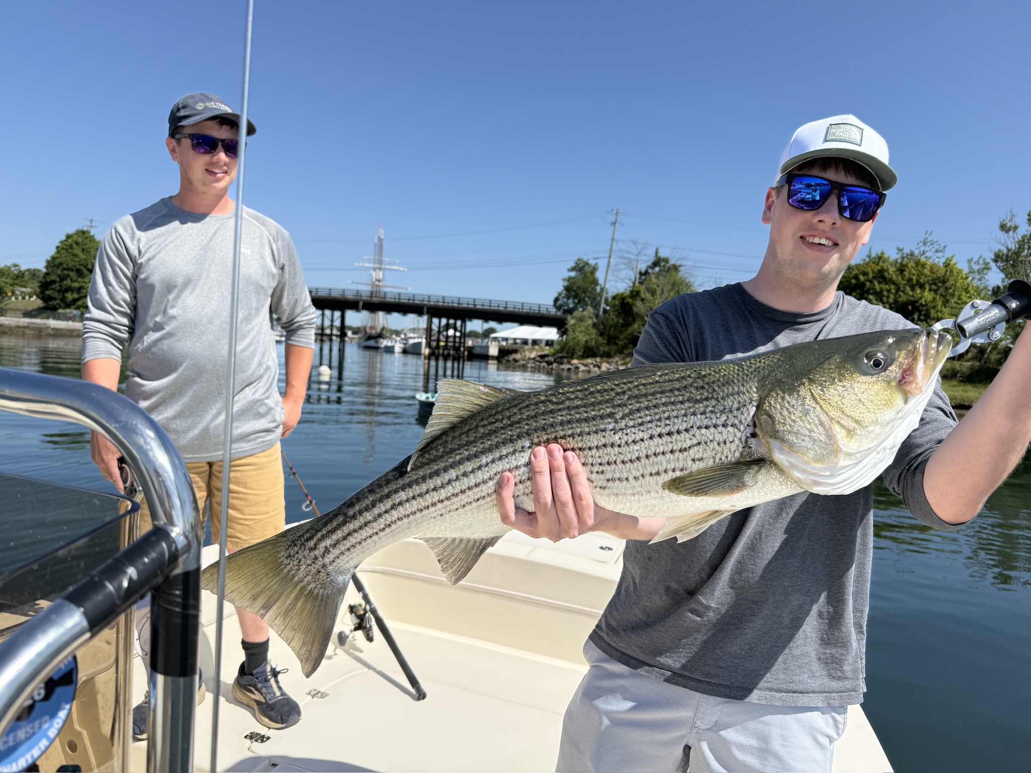 Beautiful Portsmouth NH striped bass makes the day!
