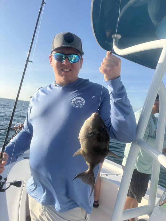Nice Grey Triggerfish from Clearwater Bay waters!