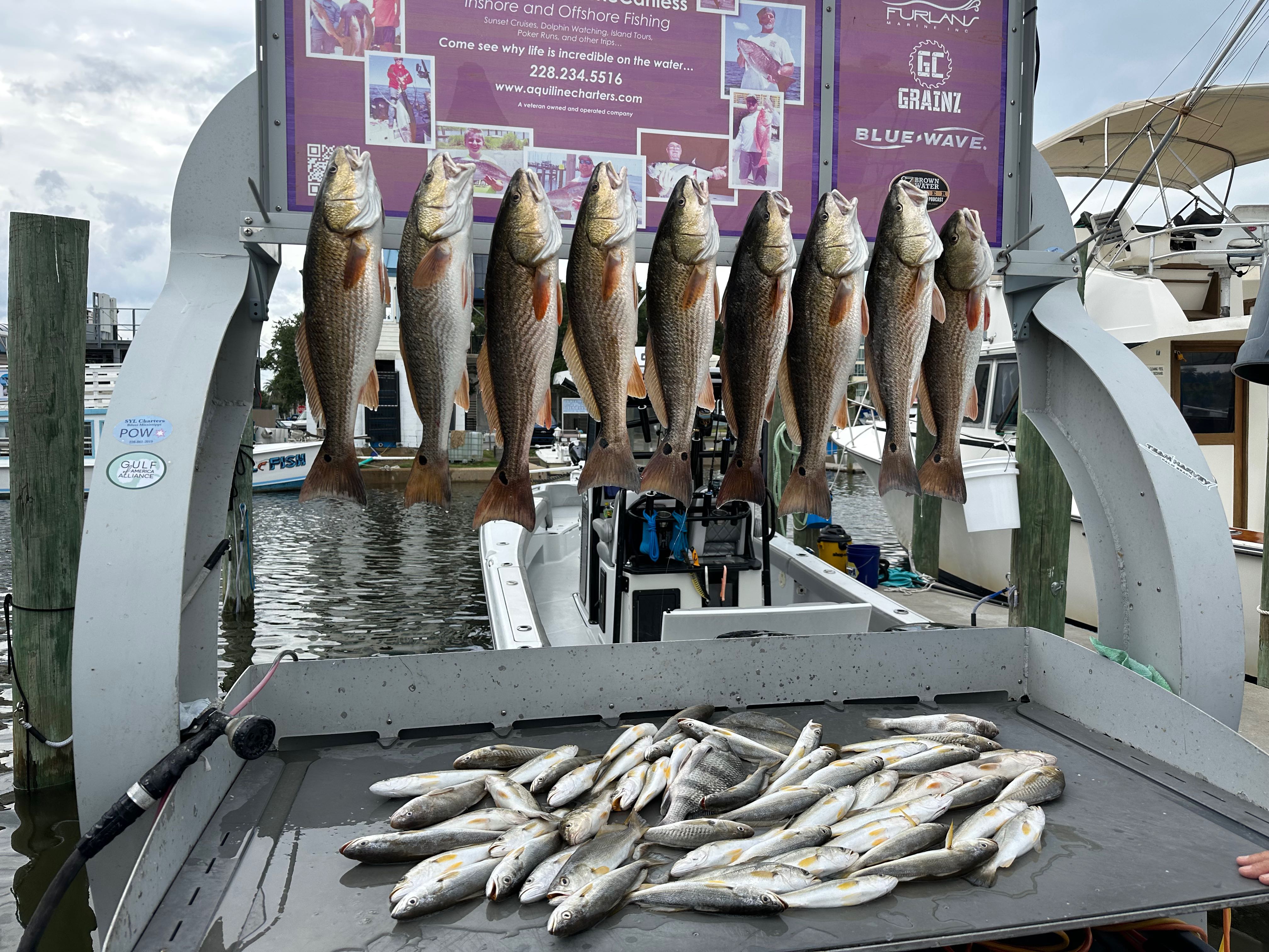Biloxi breeze and tight lines.