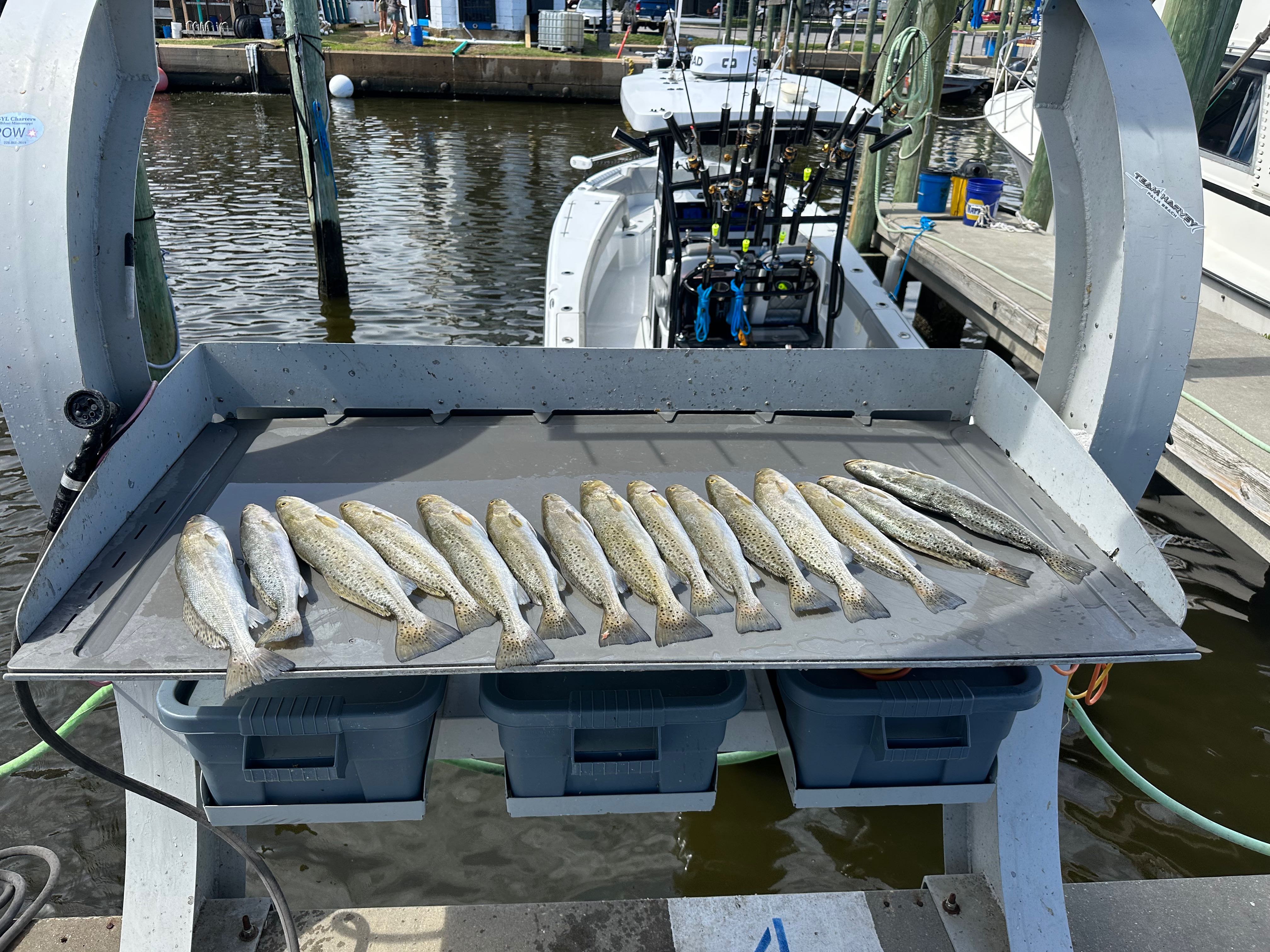 Another great day fishing Biloxi.