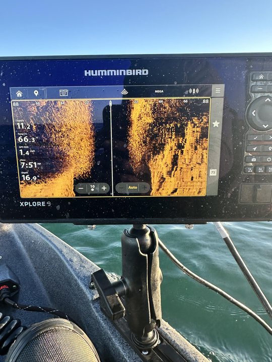 Light tackle fishing in Newport - sonar shows the best underwater action ahead!