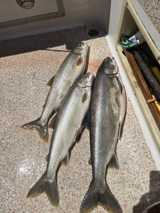 Triple lake trout success on Lake Superior!