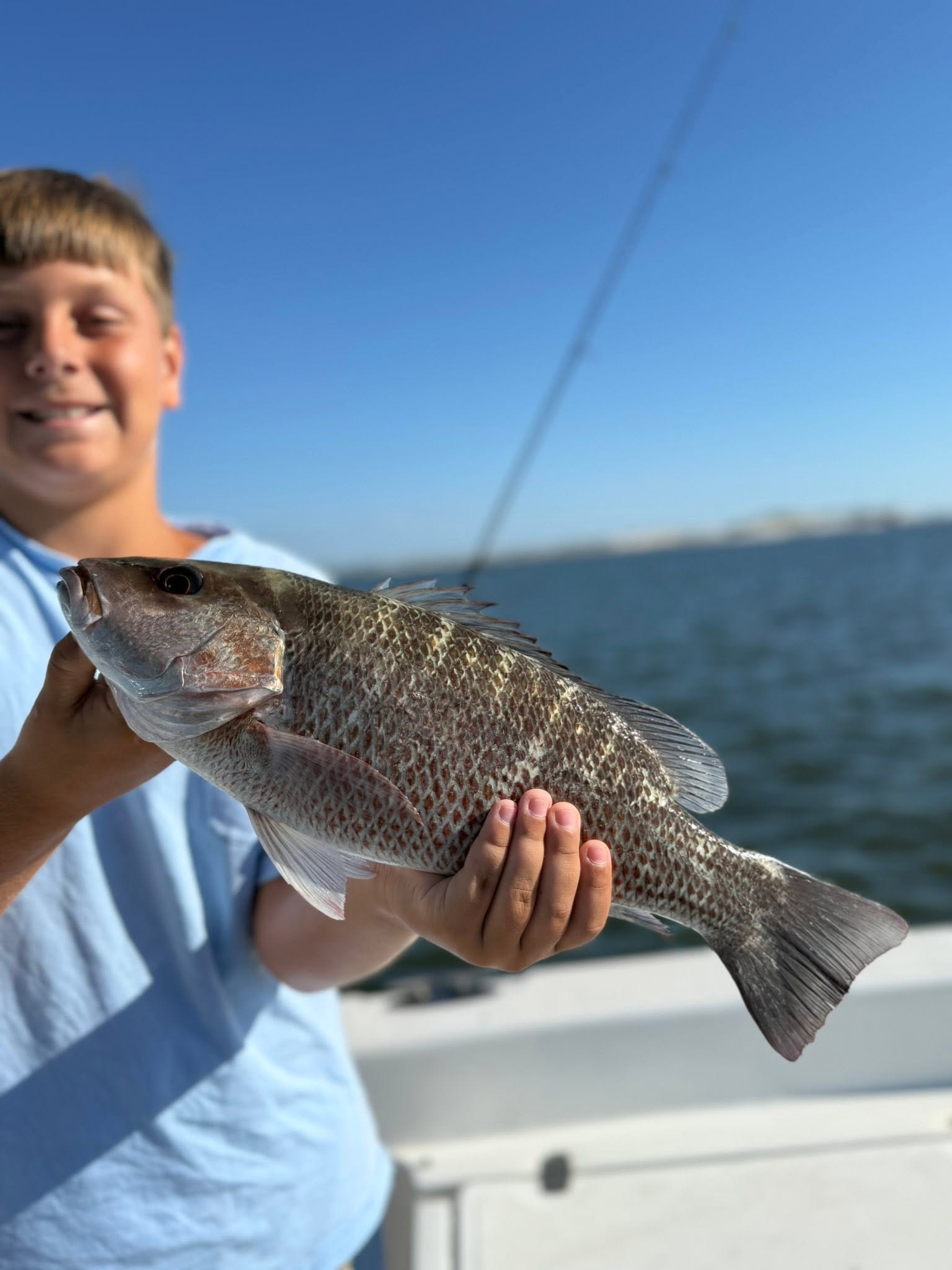 Nice grey snapper from Jacksonville waters!