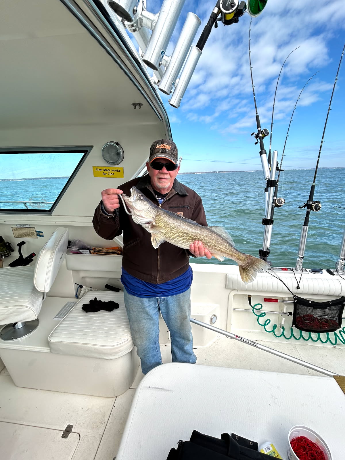 Impressive Lake Erie walleye haul!