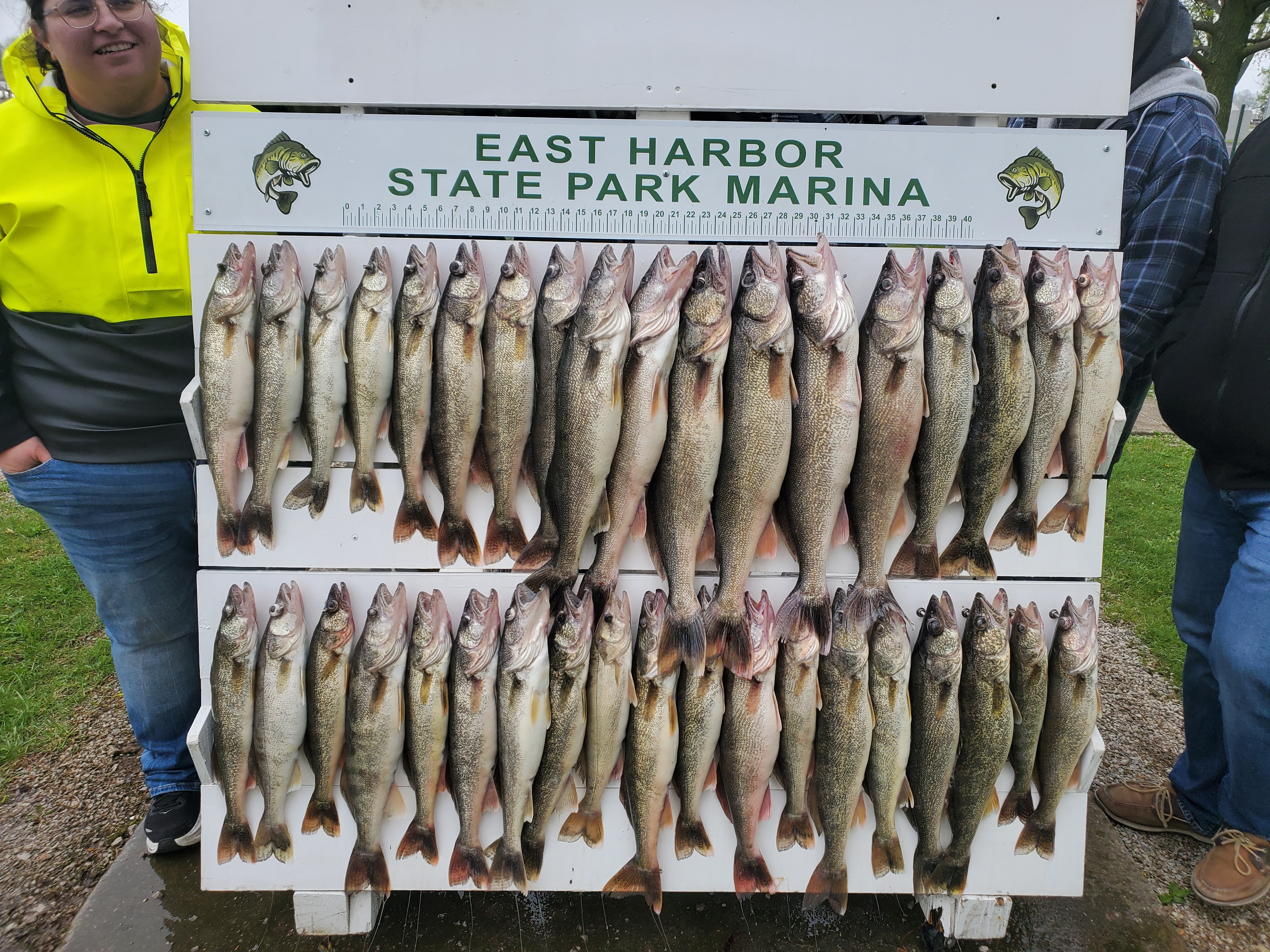 An awesome day of Walleye fishing on Lake Erie! 