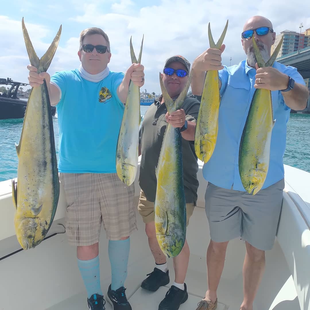 Boost your catch rate with West Palm Beach experts