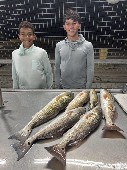 Six beautiful Matagorda redfish ready for the table!