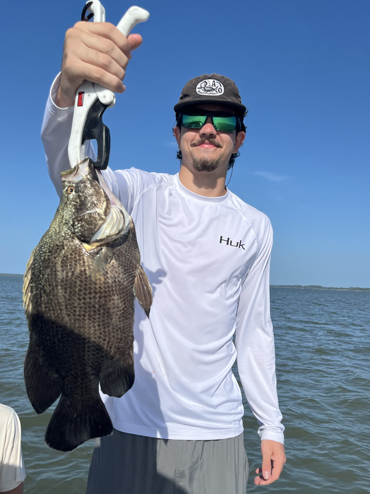 Nice Apalachicola tripletail caught on fly fishing gear!