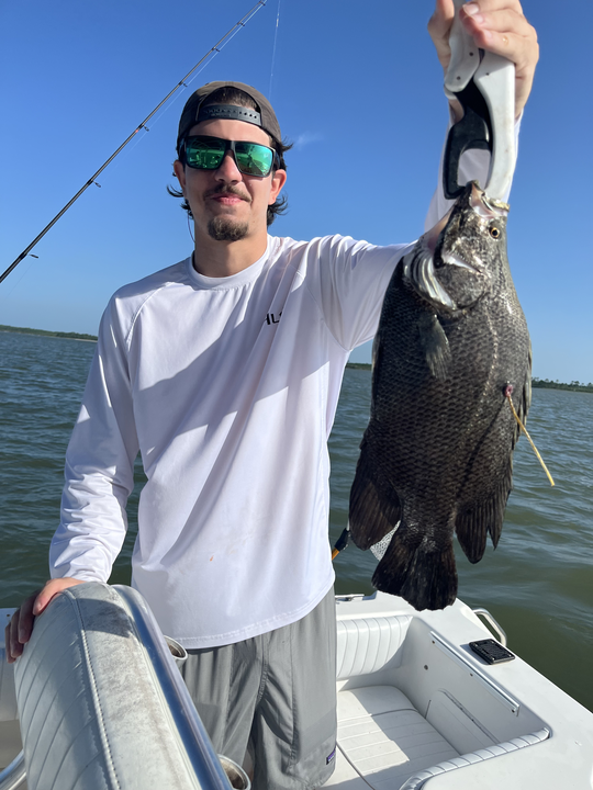 Beautiful Apalachicola tripletail caught on fly fishing gear!