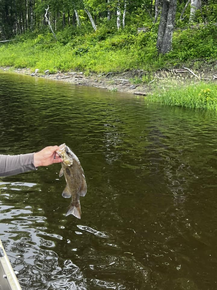 Bass bite hot in freshwater today