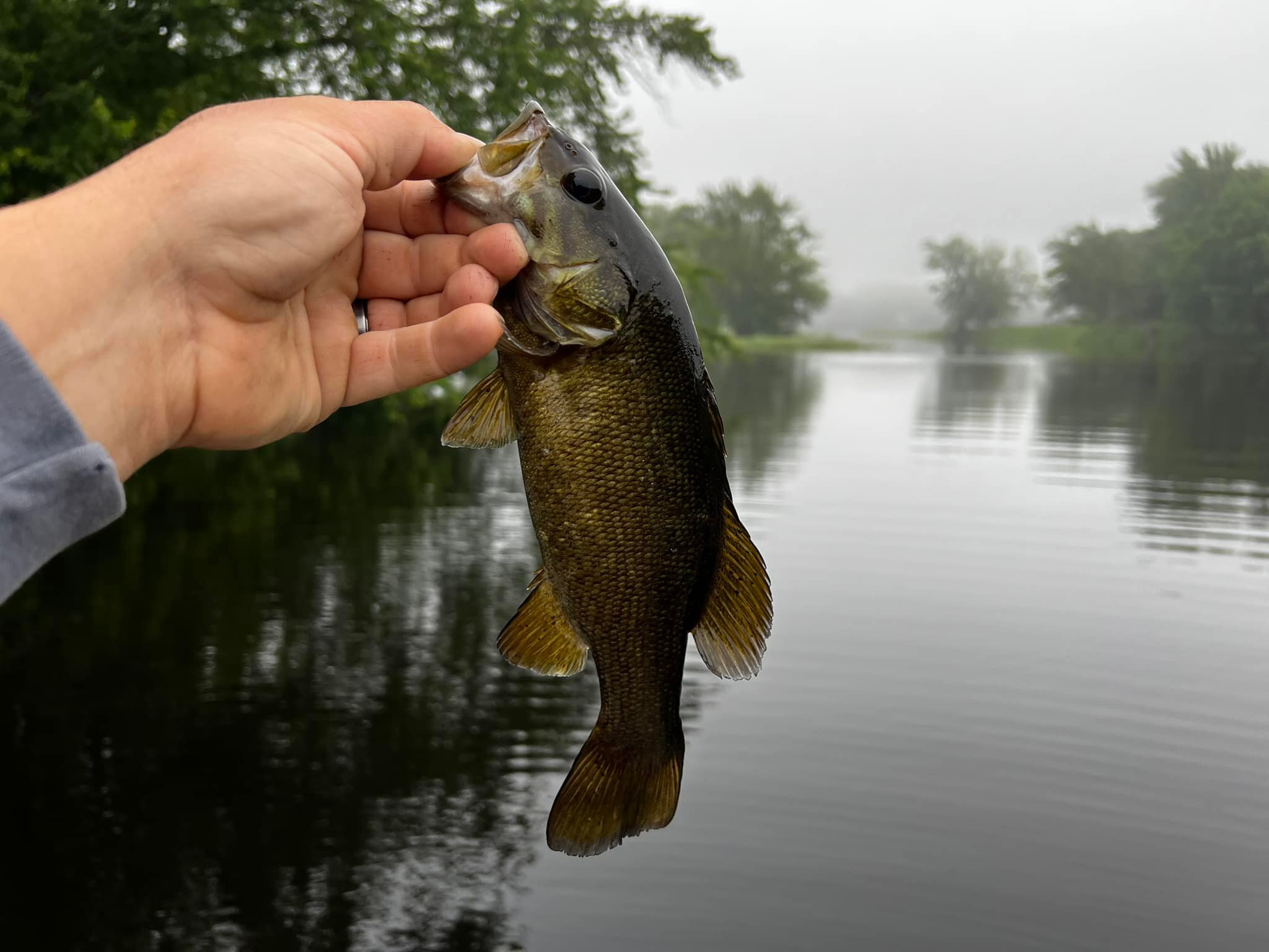 Trophy smallmouth from clear water