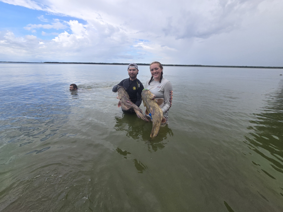 Double Flathead Catfish success at Lake Tawakoni!