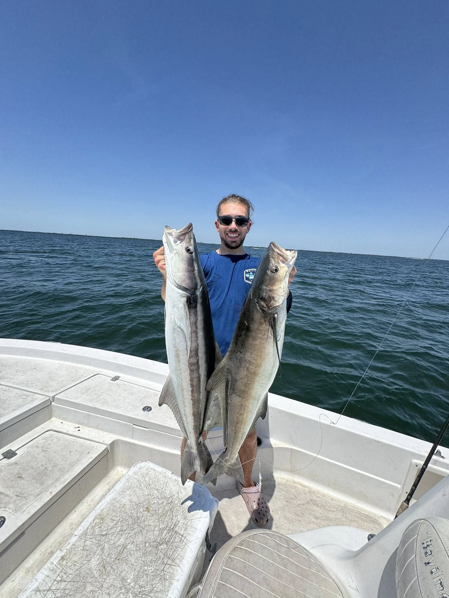 Tampa Bay fishing charters – Cobia catch