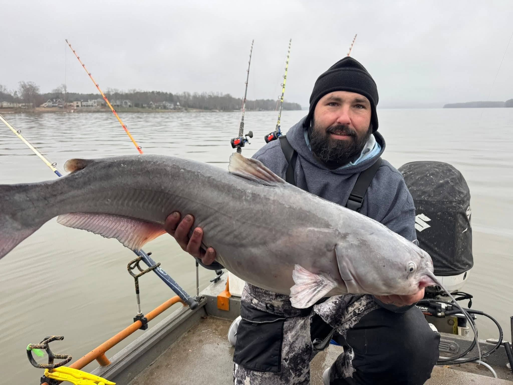 Blue catfish success in Mocksville NC waters!